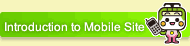 Introduction to Mobile Site